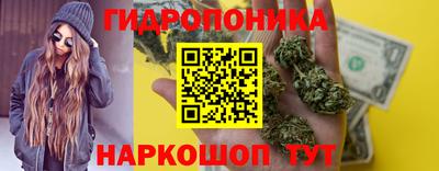 ПСИЛОЦИБИНОВЫЕ ГРИБЫ Тара