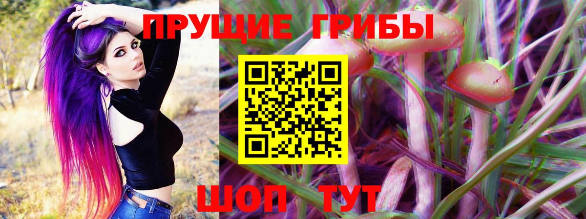 Балашиха  Псилоцибиновые грибы MAGIC MUSHROOMS  Вход с VPN 